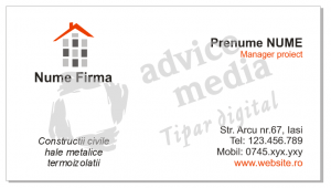 constructii-case-3