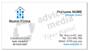 constructii-case-4